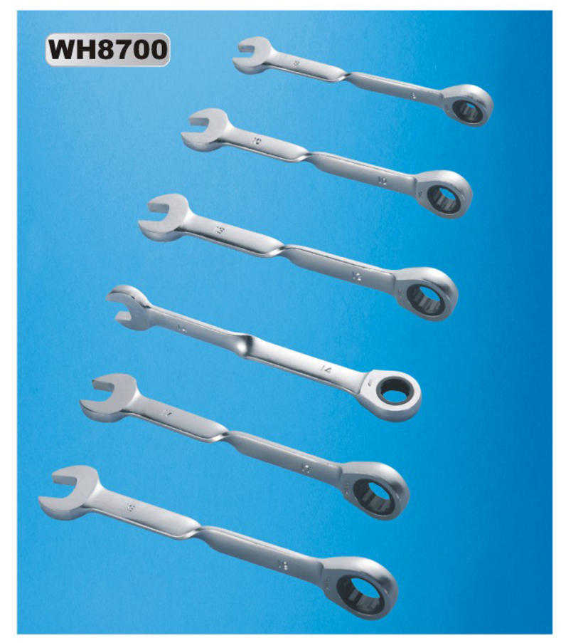 WH8700-2.png