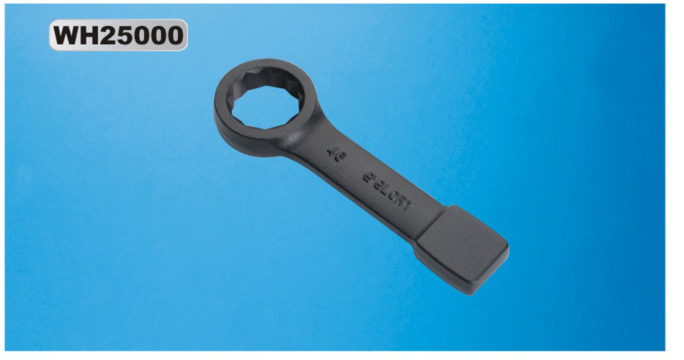 WH25000-2.png