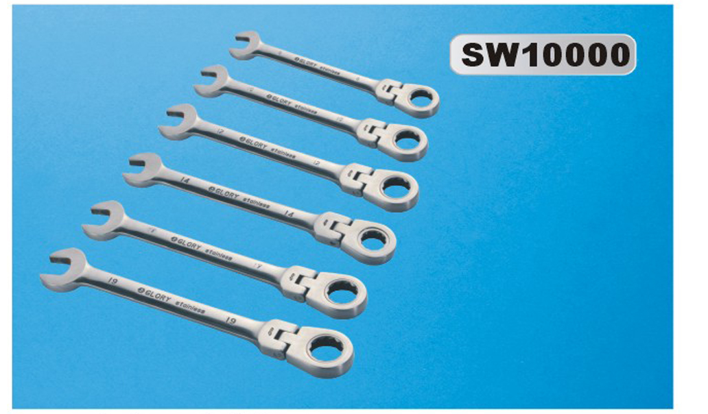 SW10000-2.png