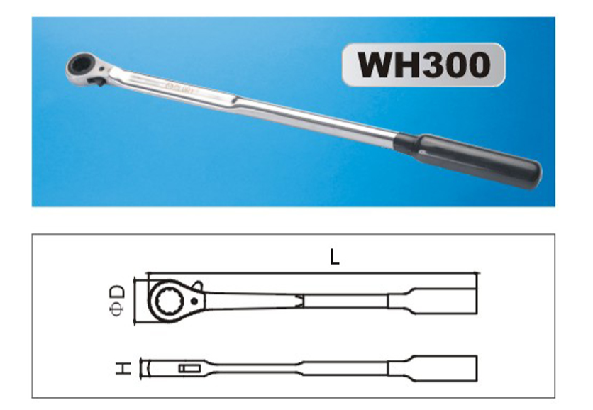 WH300-3.png
